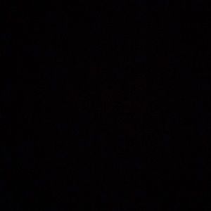 Meet your Posher, Penelope